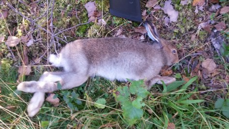 20160904_153029_resized